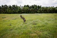 Воевавшего на стороне Украины актера «Глухаря» обвинили по новому делу. Он уже получил заочно пожизненное за госизмену 