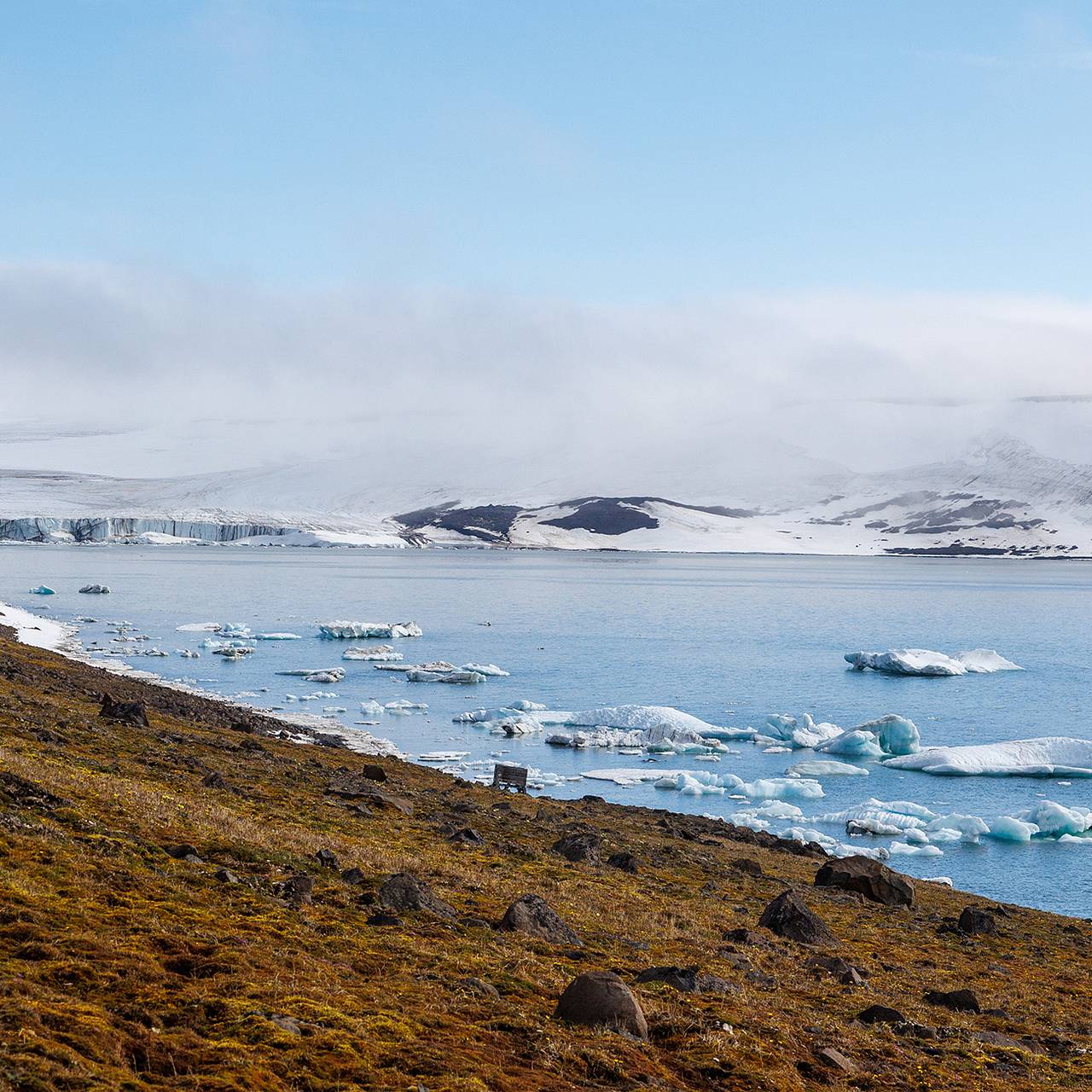 Фото: Илья Тимин / РИА Новости