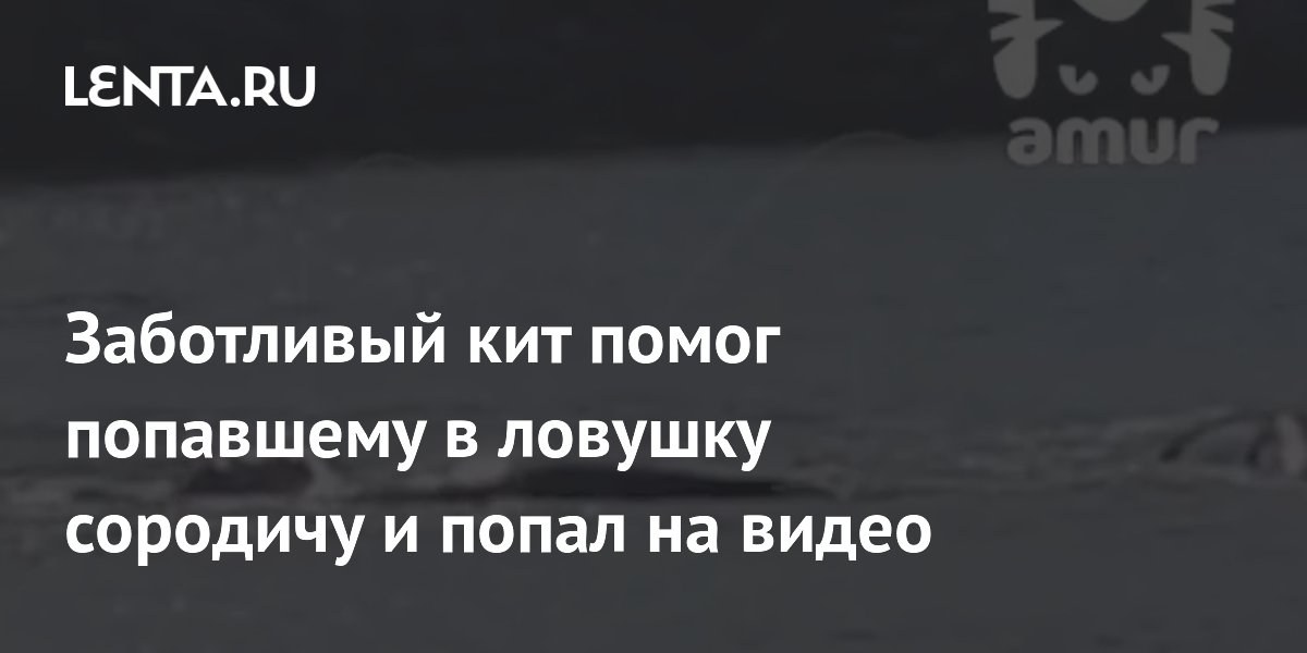 Наркотики мифы и реальность. Которая помогала всем попавшим. Проект кто нас защищает полиция. Которая помогала всем попавшим. Территория передышки пермь.