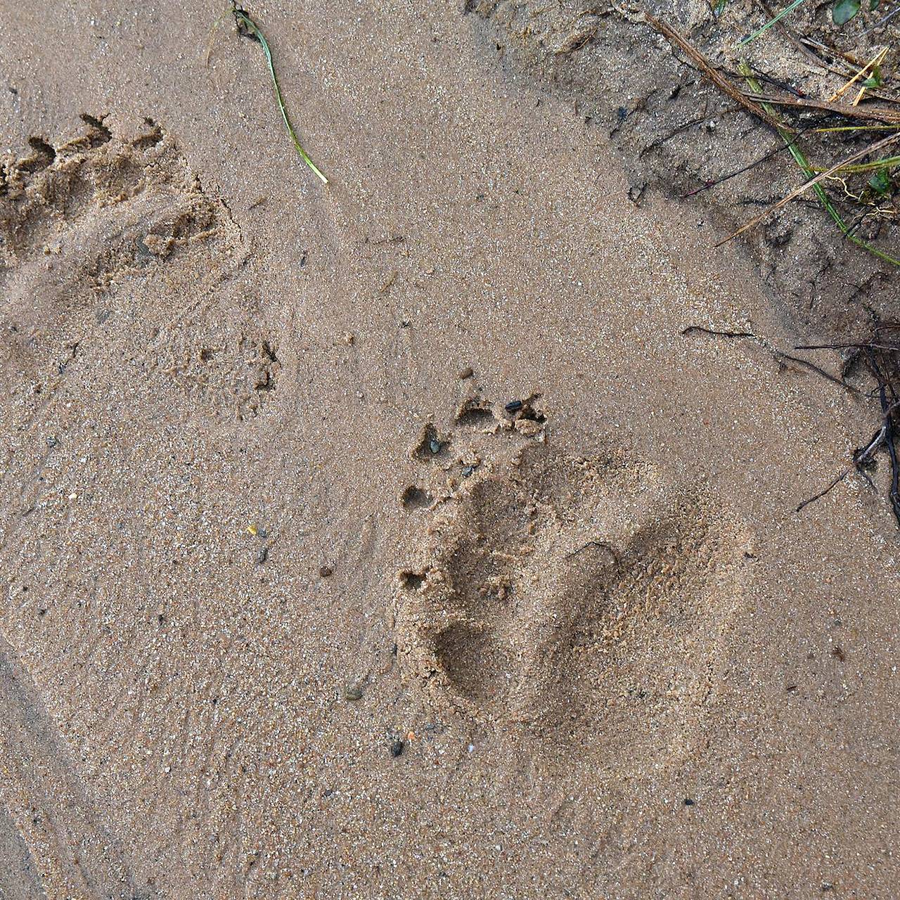 Фото: Леонид Арончиков / Коммерсантъ