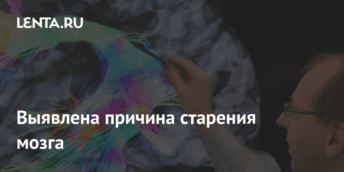 lenta.ru