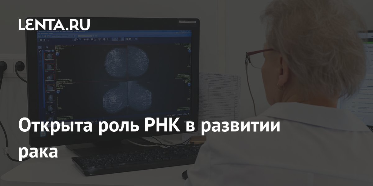 lenta.ru