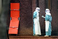 ВОЗ сообщила о риске новой глобальной эпидемии. Чем опасен вирус Марбург и грозит ли он России? 