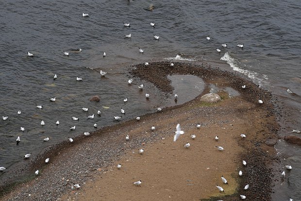 Вводная картинка