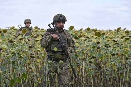 В Германии высказались об итогах конфликта на Украине