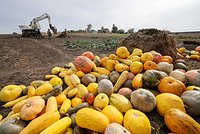 Волонтер раскрыла подробности военных преступлений ВСУ против жителей Курской области. О чем она рассказала?