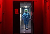 «Наблюдается паника» Мир столкнулся с новым опасным вирусом. Чем опасен Марбург и доберется ли он до России?