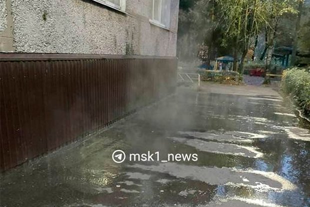 Вводная картинка