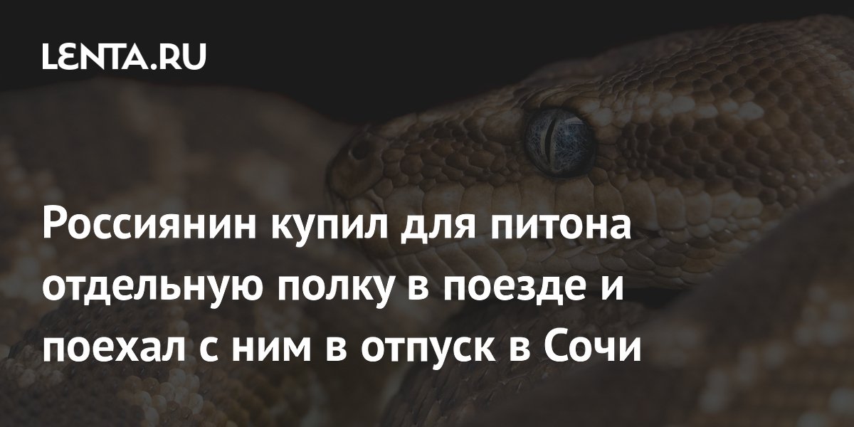 Россиянин купил для питона отдельную полку в поезде и поехал с ним в отпуск в Сочи