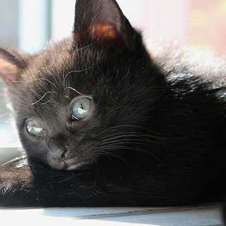 Қыз анусты жайып, оның ішіне қолын салады Трусики жоқ жалаңаш жігіттердің видеосы