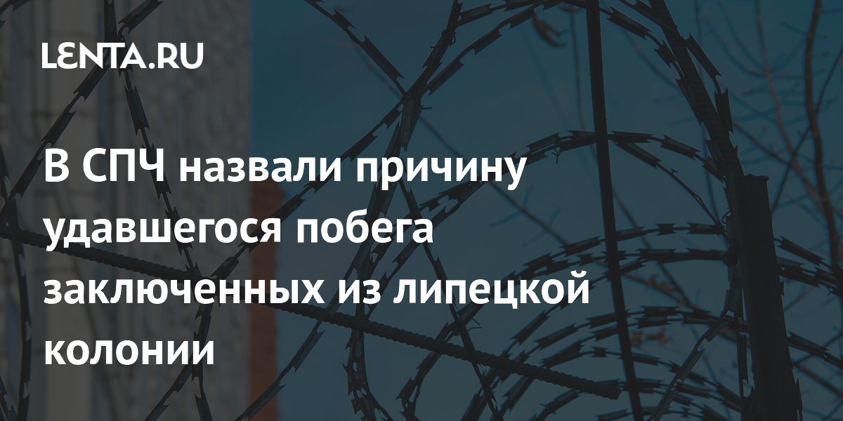 В СПЧ назвали причину удавшегося побега заключенных из липецкой колонии