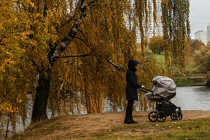 В России описали стоящий перед государством вопрос о рождаемости