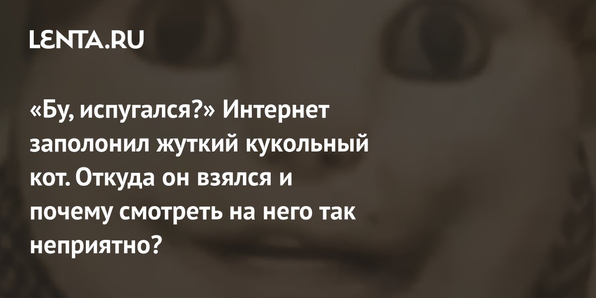 «Бу, испугался?» Интернет заполонил жуткий кукольный кот. Откуда он взялся и почему смотреть на него так неприятно?