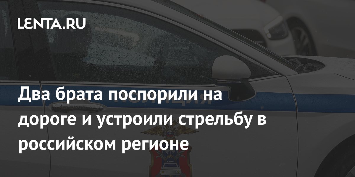 Два брата поспорили на дороге и устроили стрельбу в российском регионе