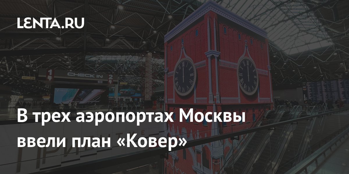 В трех аэропортах Москвы ввели план «Ковер»