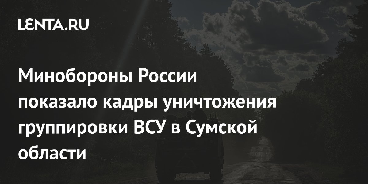 Минобороны России показало кадры уничтожения группировки ВСУ в Сумской области