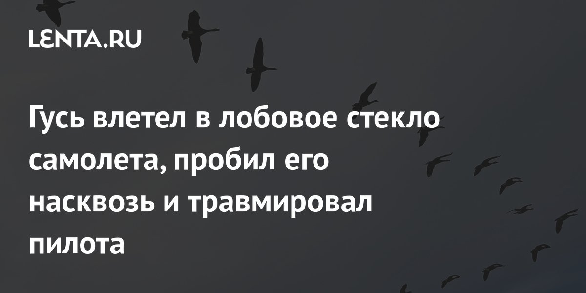 Гусь влетел в лобовое стекло самолета, пробил его насквозь и травмировал пилота