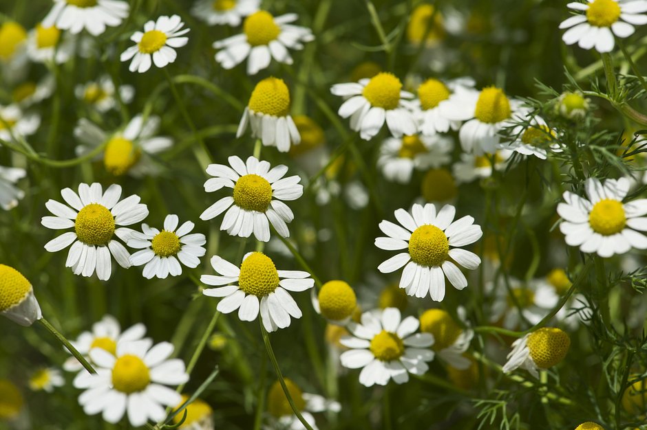 Www зейнеткерлер секс Студенттер үшін кештердегі секс қызық