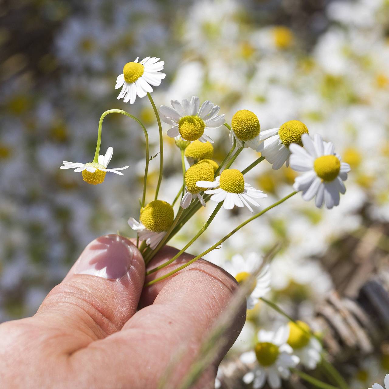 Толық әйелдермен фистинг порно видео Порно выки ру