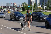 Вильфанд предупредил об особенно быстром изменении климата в России 