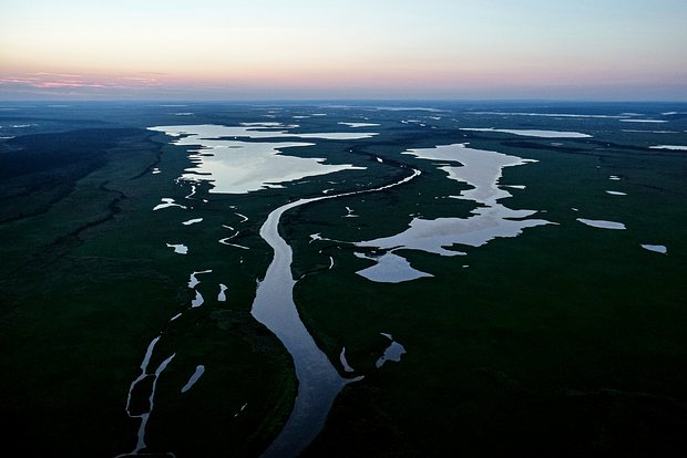 Вводная картинка