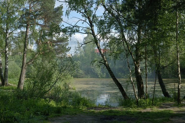 Вводная картинка