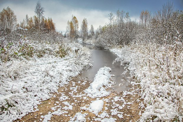 Вводная картинка