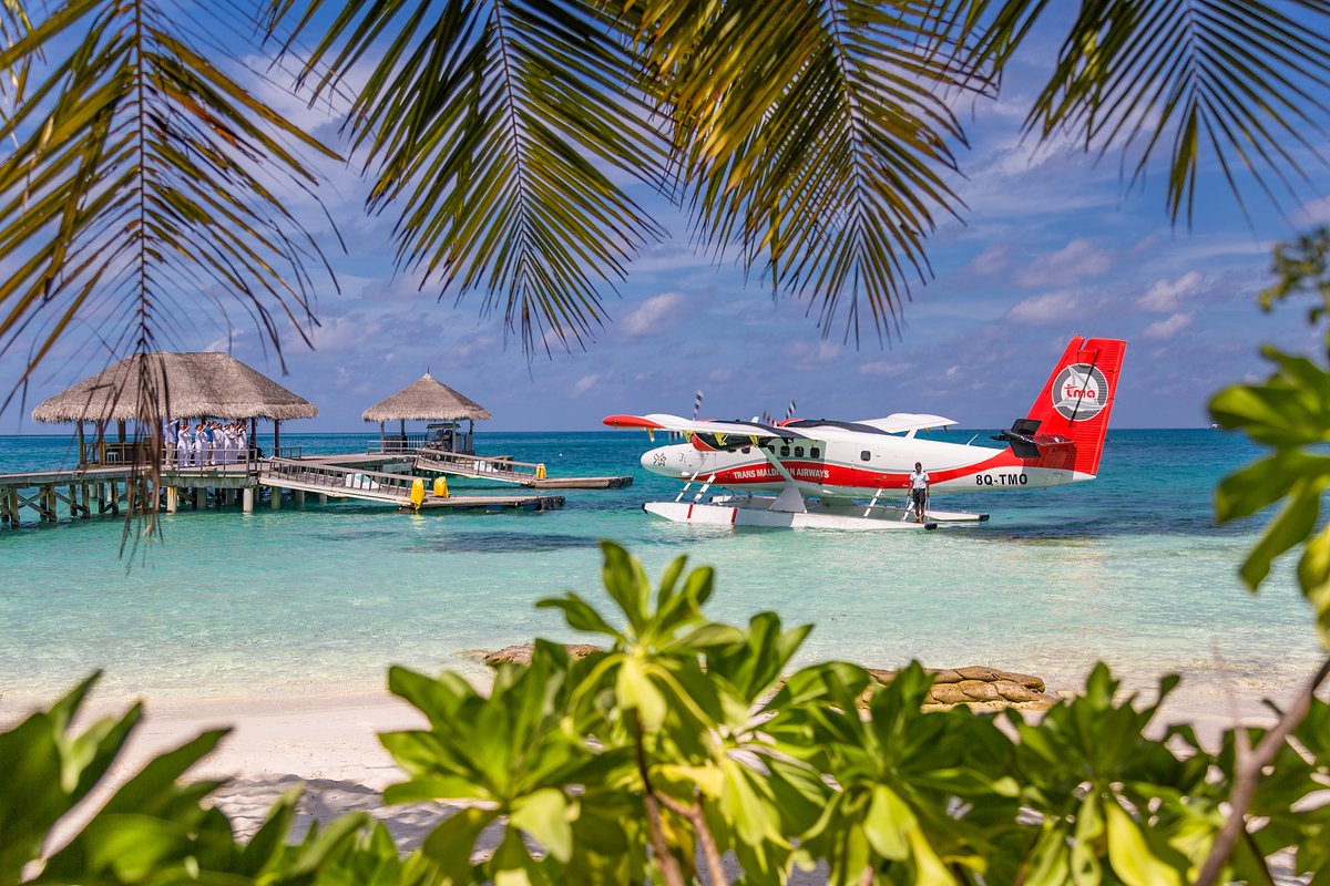 Гидроплан авиакомпании Maldives Airlines, который доставляет туристов к отелям из аэропорта 