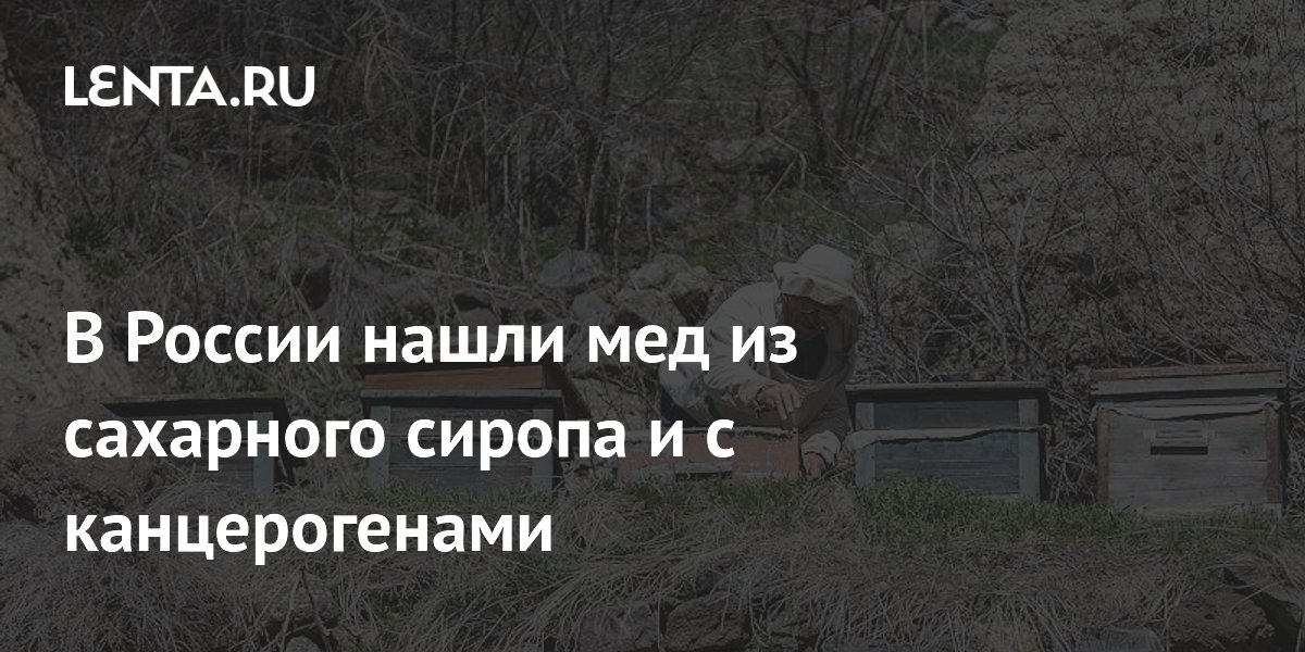lenta.ru