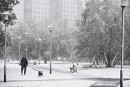 Москвичей предупредили о первой метели