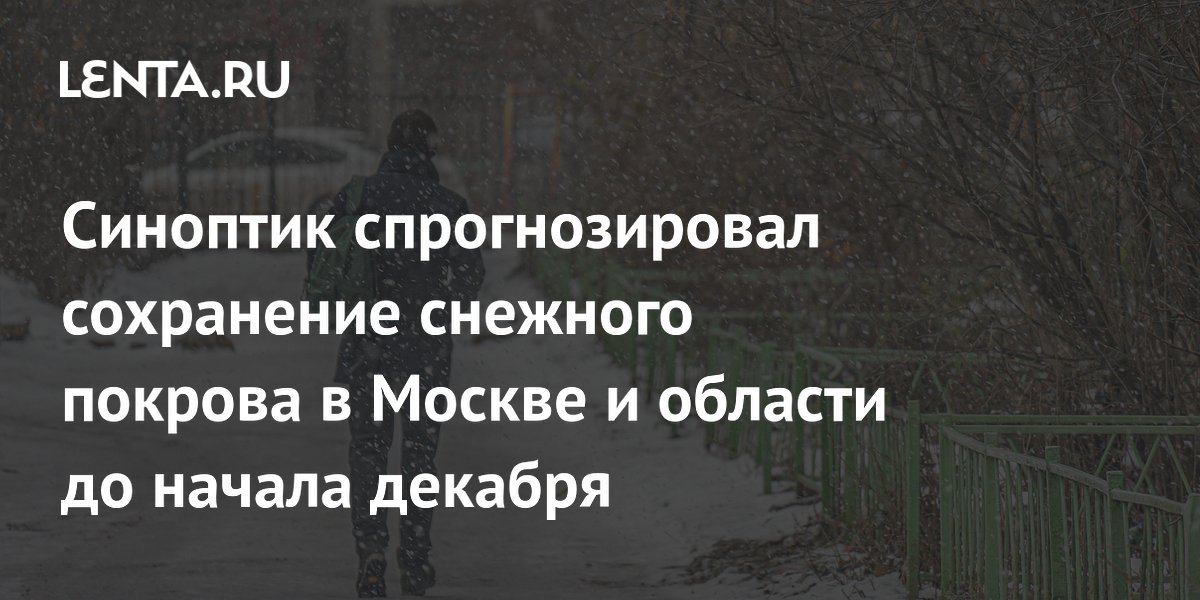 Синоптик спрогнозировал сохранение снежного покрова в Москве и области до начала декабря