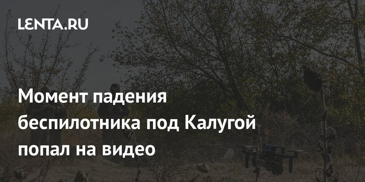 lenta.ru