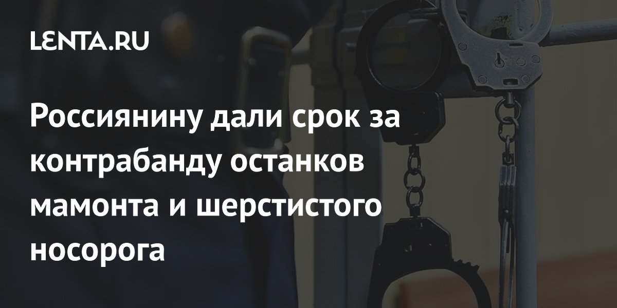 Россиянину дали срок за контрабанду останков мамонта и шерстистого носорога