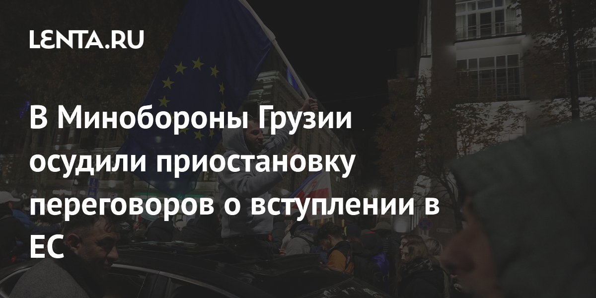 В Минобороны Грузии осудили приостановку переговоров о вступлении в ЕС