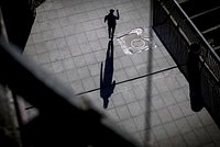 Россияне массово подсели на чудо-грибы с маркетплейсов. Чем они опасны? 