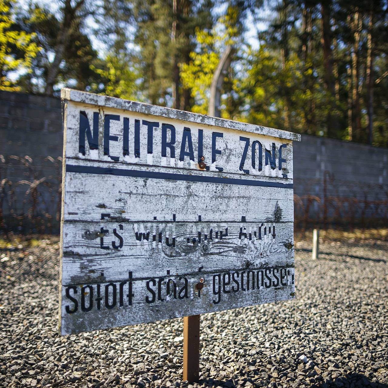 Фото: Thomas Trutschel / Photothek Media Lab / Global Look Press