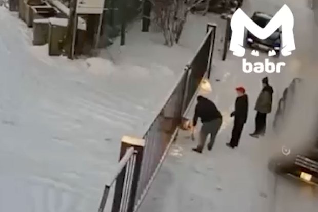 Вводная картинка