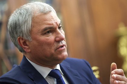 Володин предложил рассмотреть проект о запрете принимать в школы детей без знания русского
