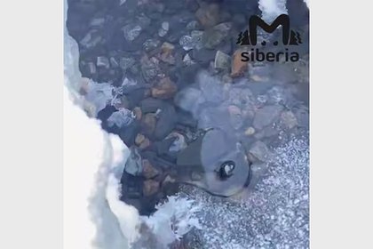 Владельцы дач в российском регионе пожаловались на затопление