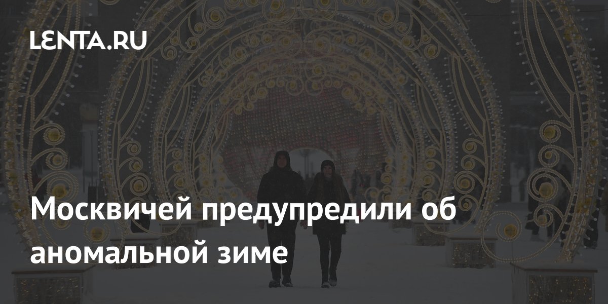 Специалист и ведущий специалист в чем разница