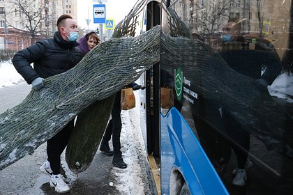 Москвичам напомнили правила перевозки елок в автобусах