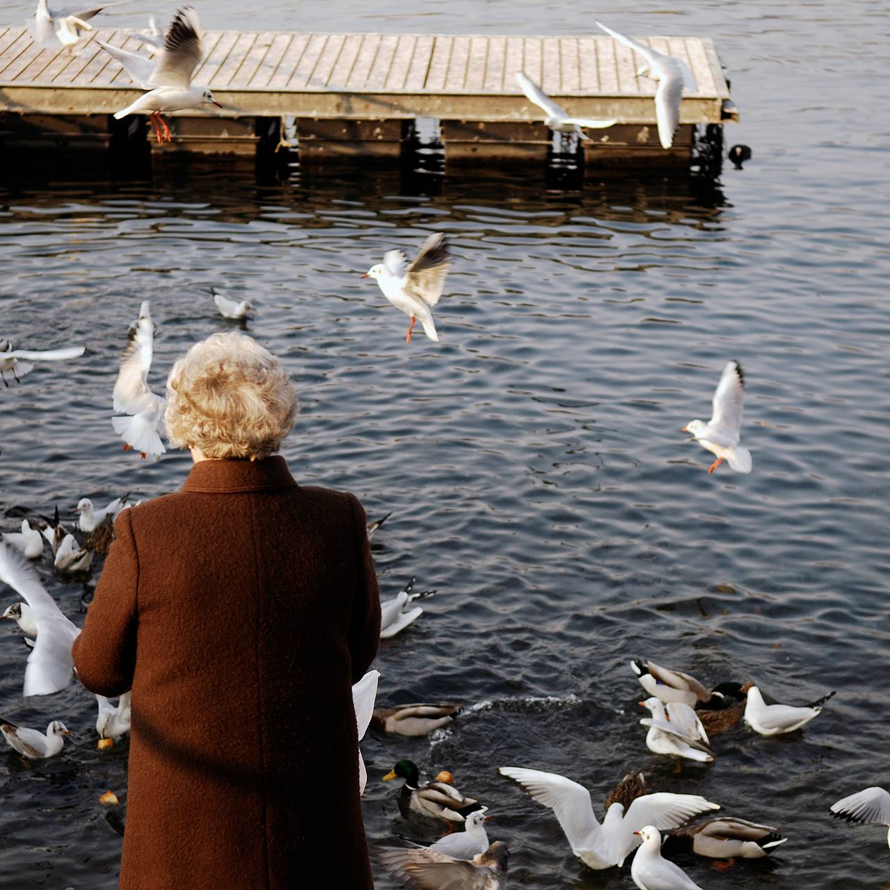 Фото: Мария Купцова / «Лента.ру»