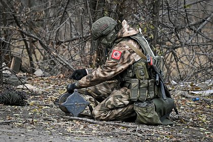 В регионе России саперы обезвредили упавший на территории частного дома украинский дрон