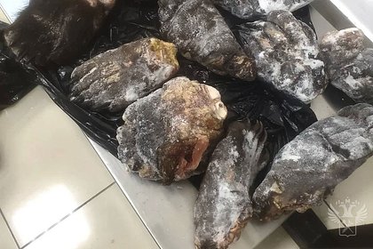Более десятка медвежьих лап нашли в багаже летевшего в Северную Корею пассажира