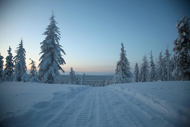 Вводная картинка