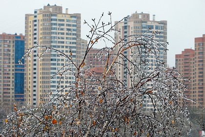 В Москве морозы сменятся ледяным дождем