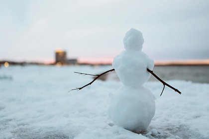 В Москве появилась змея