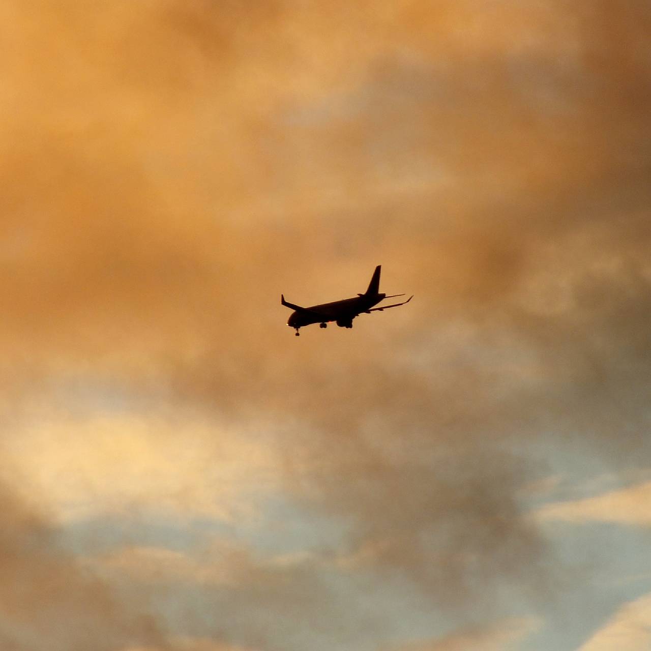 Фото: Victor Lisitsyn / Global Look Press