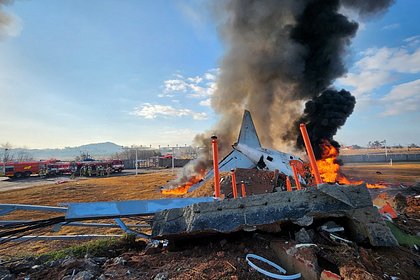 На борту упавшего в Южной Корее самолета нашли выживших