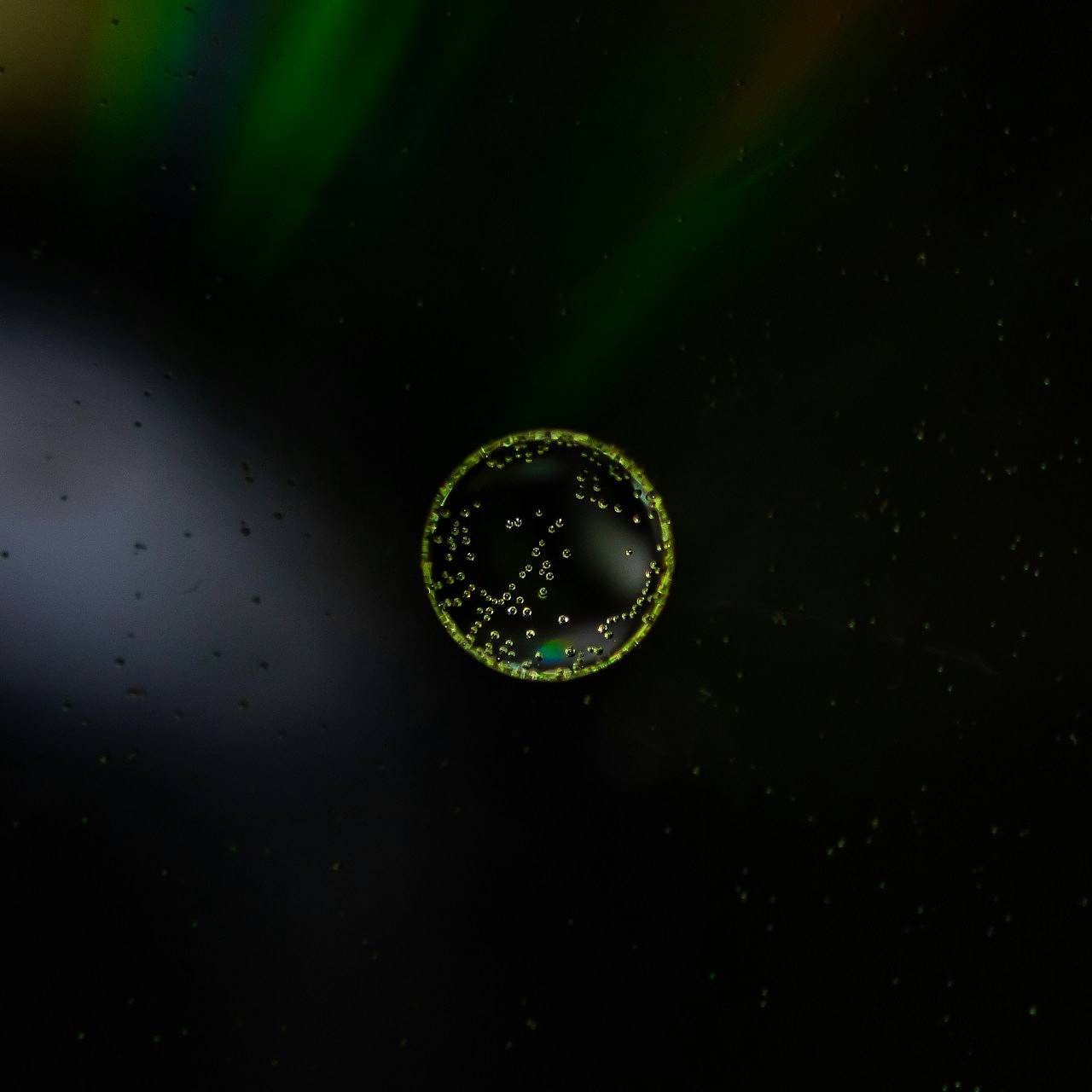 В клетках человеческого организма обнаружили «таймер смертности»